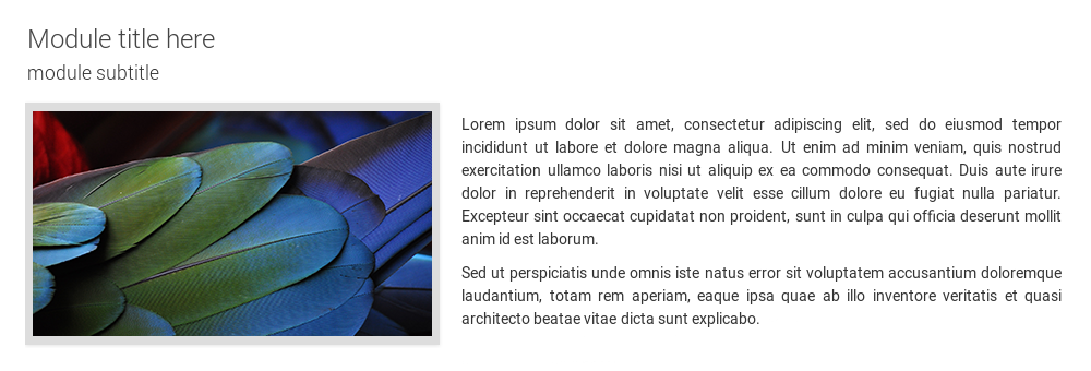 FavThemes tutorial for the module subtitle front-end